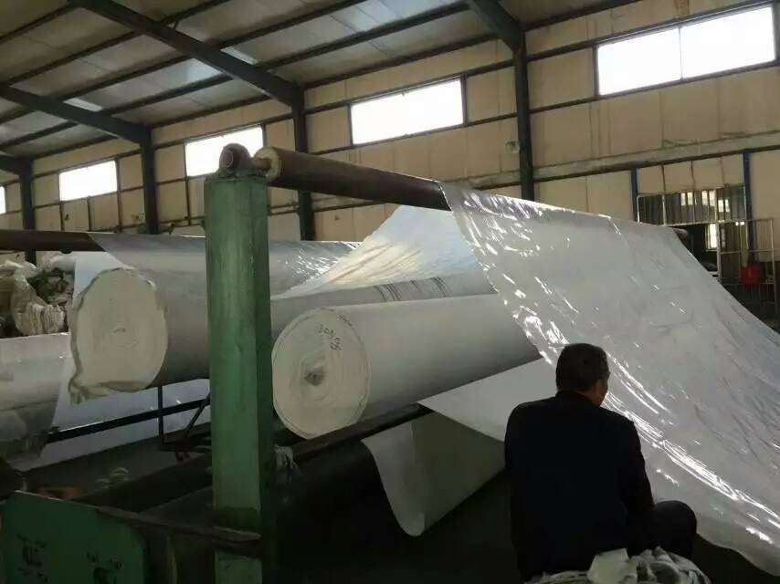 �ͺ�����Ĥ�O��